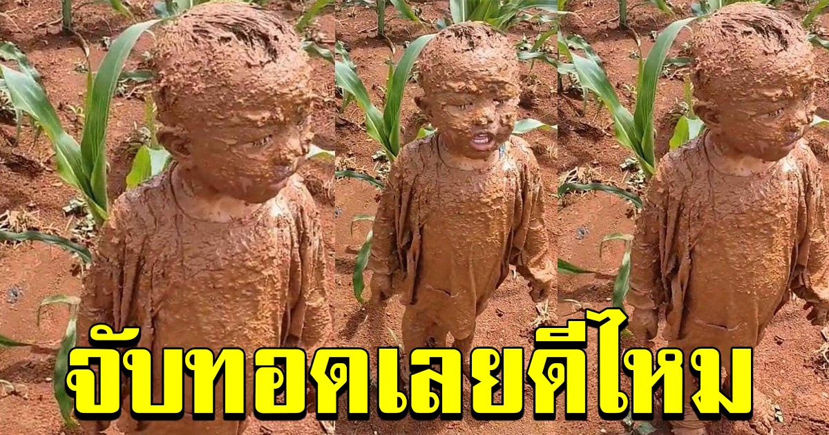 แม่บอกบุตรชาย ให้ถอนหญ้าข้าวโพดช่วย