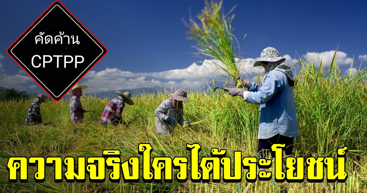 ทำความรู้จัก CPTPP