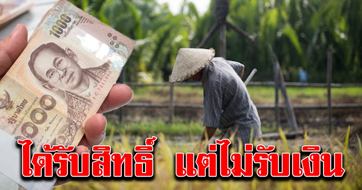 แนะช่องทางสำหรับผู้ไม่ประสงค์ รับเงินช่วยเหลือเกษตรกร 15000