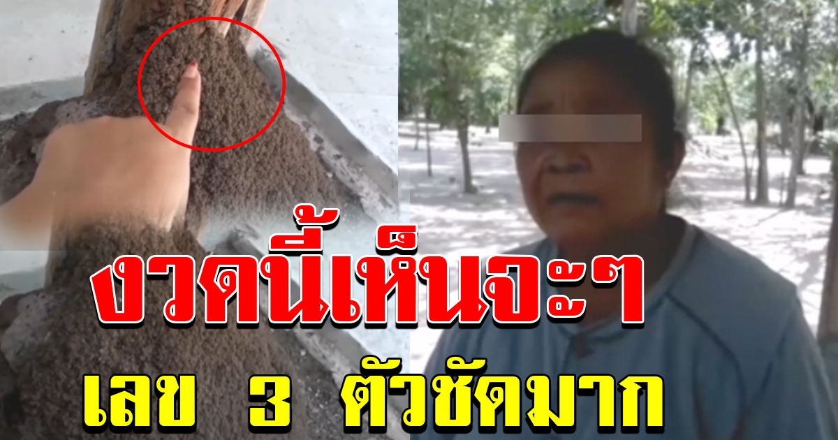 เลขเด็ดป้าจันทร์ คนมีเซ้นส์สัมผัสได้ ถูกหวย 2 งวดติด ๆ งวดนี้เห็น 3 ตัวตรง ๆ เน้น ๆ งวด 1กค 63