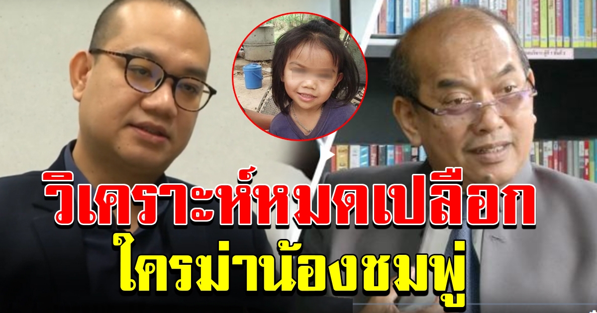 วิเคราะห์ คดีน้องชมพู่