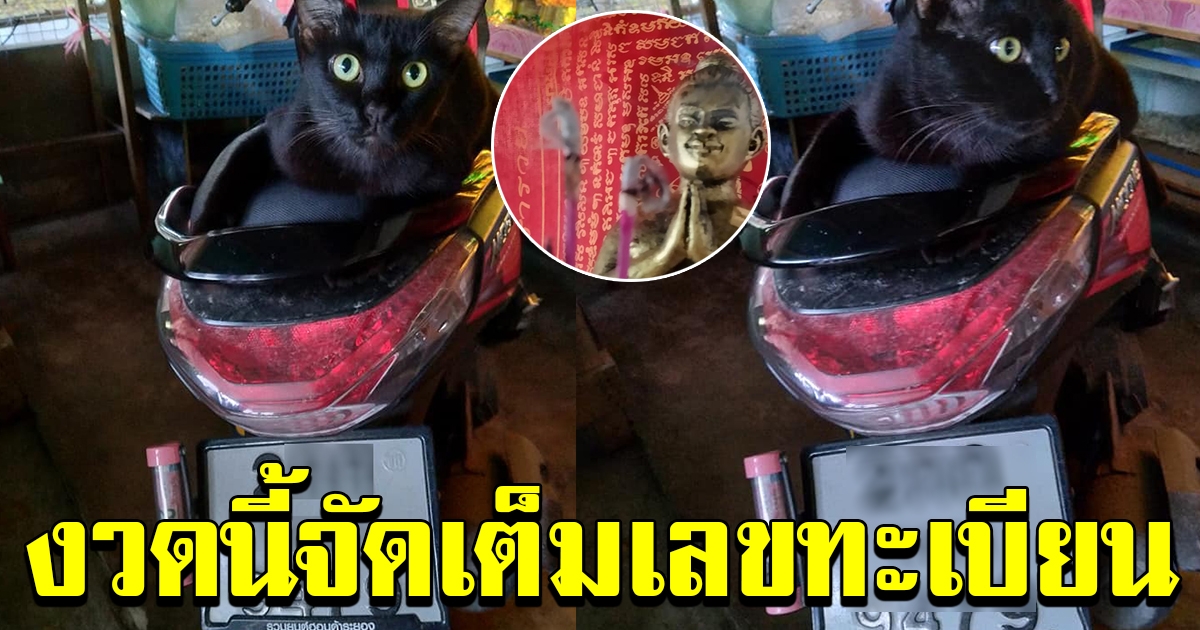 จุดธูปไหว้ไอ้ไข่