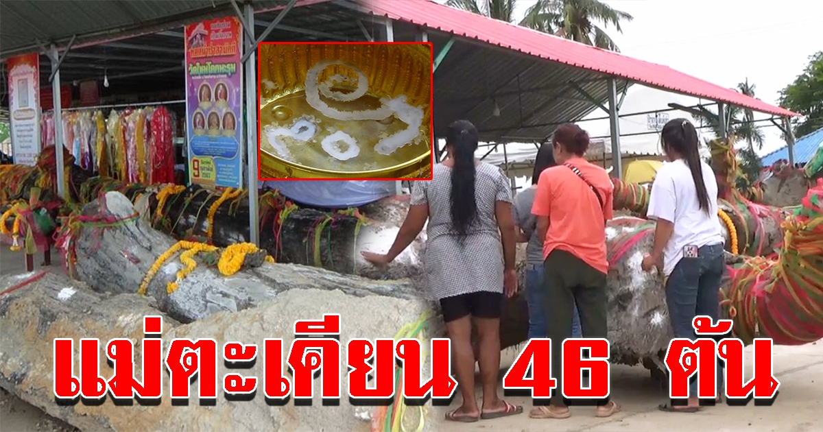 แห่ขอเลขเด็ด แม่ตะเคียน 46 ต้น วัดดังอ่างทอง