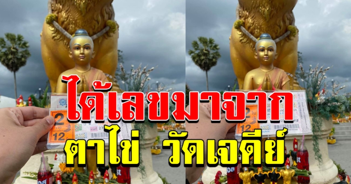 เลขตาไข่
