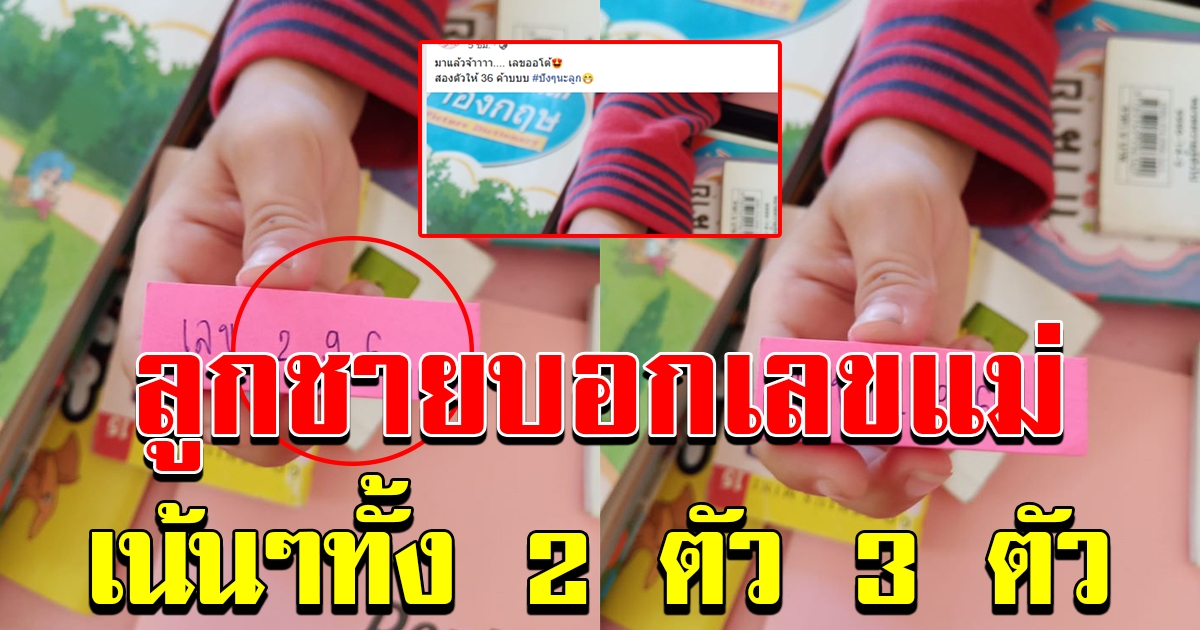 บุตรชายให้เลข