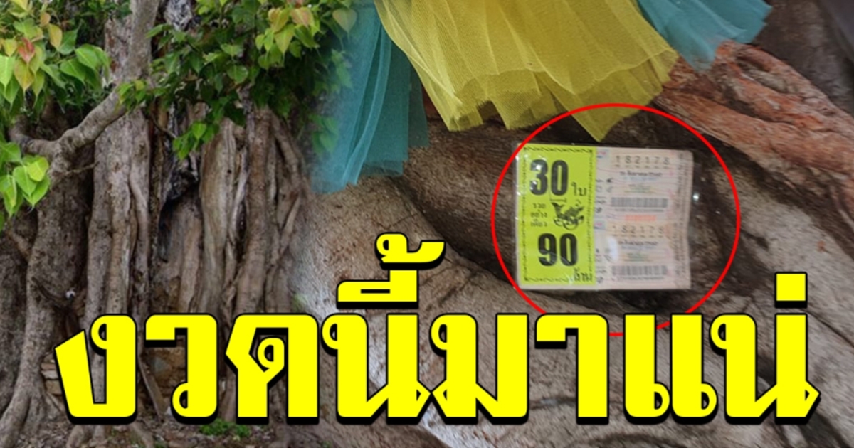 เลขใต้ต้นโพธิ์
