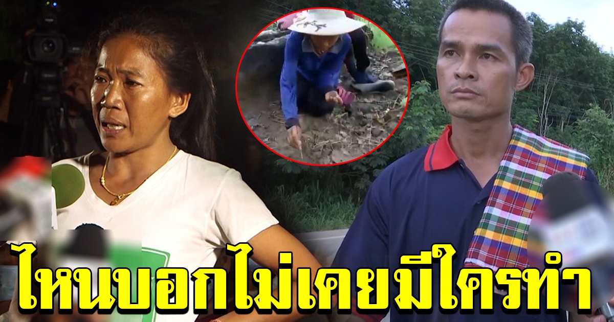 ชาวโซเชี่ยล ทนไม่ไหว สงสารลุงพลโดนรุม ขุดภาพแฉ