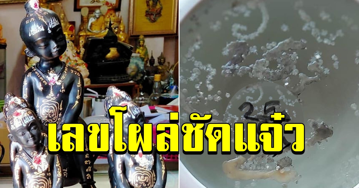 มาแล้ว เลขกุมารทอง พลายนิล