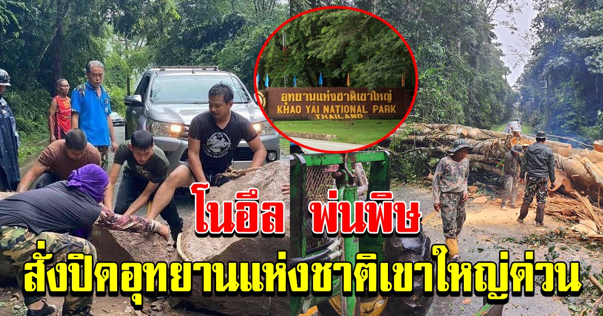 โนอึลพ่นพิษ สั่งปิด อุทยานแห่งชาติเขาใหญ่ ด่วน