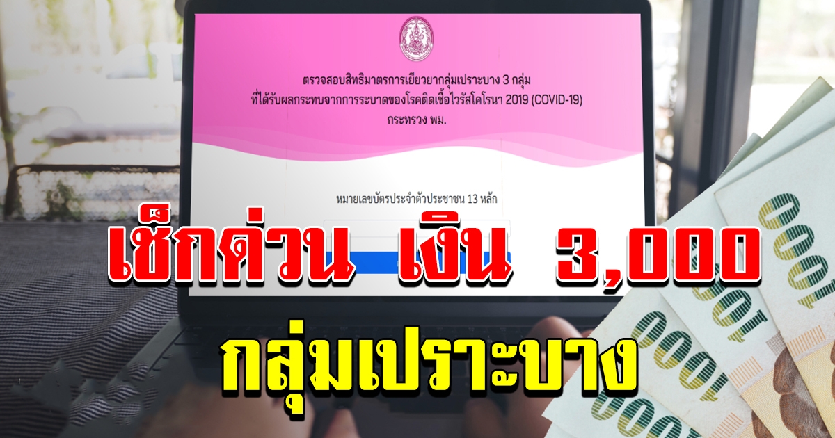 เช็กด่วน เงิน 3000 กลุ่มเปราะบาง