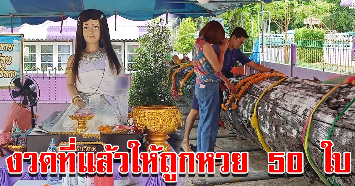 แห่ขอเลขเด็ด แม่ศรีมณีทอง หลังงวดที่แล้วให้โชคถูกหวยกว่า 50 ใบ