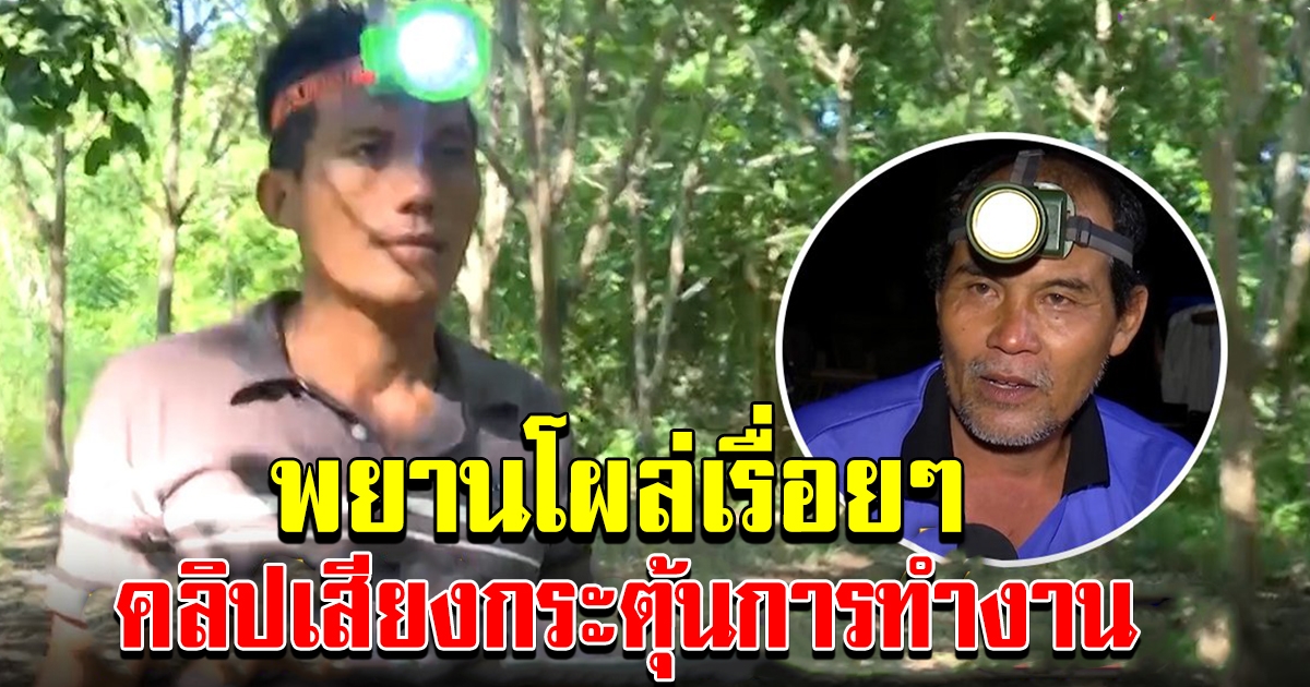 คดีชมพู่ พยานโผล่มาเรื่อยๆ คลิปเสียงกระตุ้นการทำงานตำรวจ