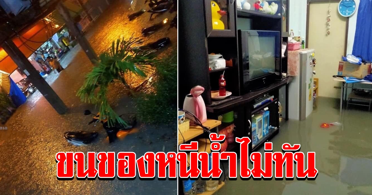 ย้ายของหนีไม่ทัน ชลบุรี อ่วมฝนตกหนักกว่า 2 ชม