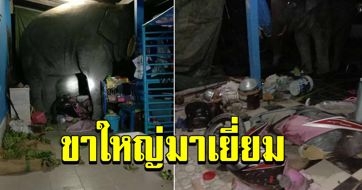 ชาวบ้านตกใจ แขกไม่ได้รับเชิญ เข้ามาหาถึงในบ้าน