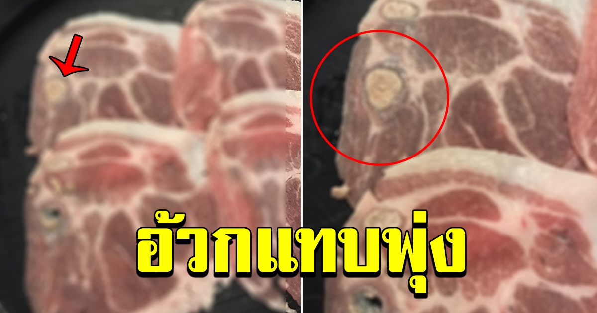 ร้านชาบูเสิร์ฟ หมูสไลด์ ให้ลูกค้า