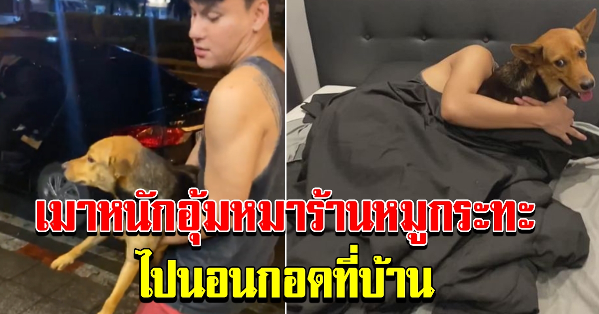 หนุ่มเมาหนัก อุ้มหมาร้านหมูกระทะไปนอนกอดที่บ้านตื่นมาแทบช็อก