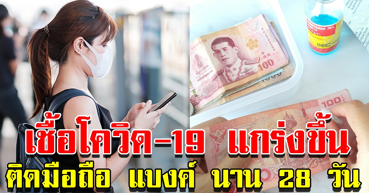 นักวิจัยค้นพบ โควิด-19 อยู่บนจอมือถือ-ธนบัตร นานสุด 28 วัน