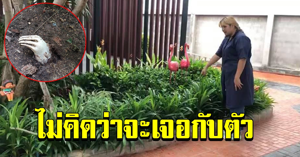 พบมือประหลาด โผล่ที่ข้างห้องน้ำปั้ม