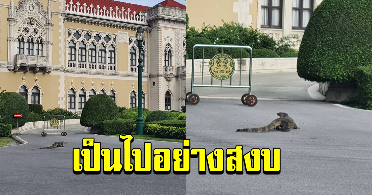 บรรยายกาศภายในทำเนียบรัฐบาล หลังเจ้าหน้าที่ตำรวจยึดคืนพื้นที่บริเวณโดยรอบทำเนียบจากผู้ชุมนุมได้