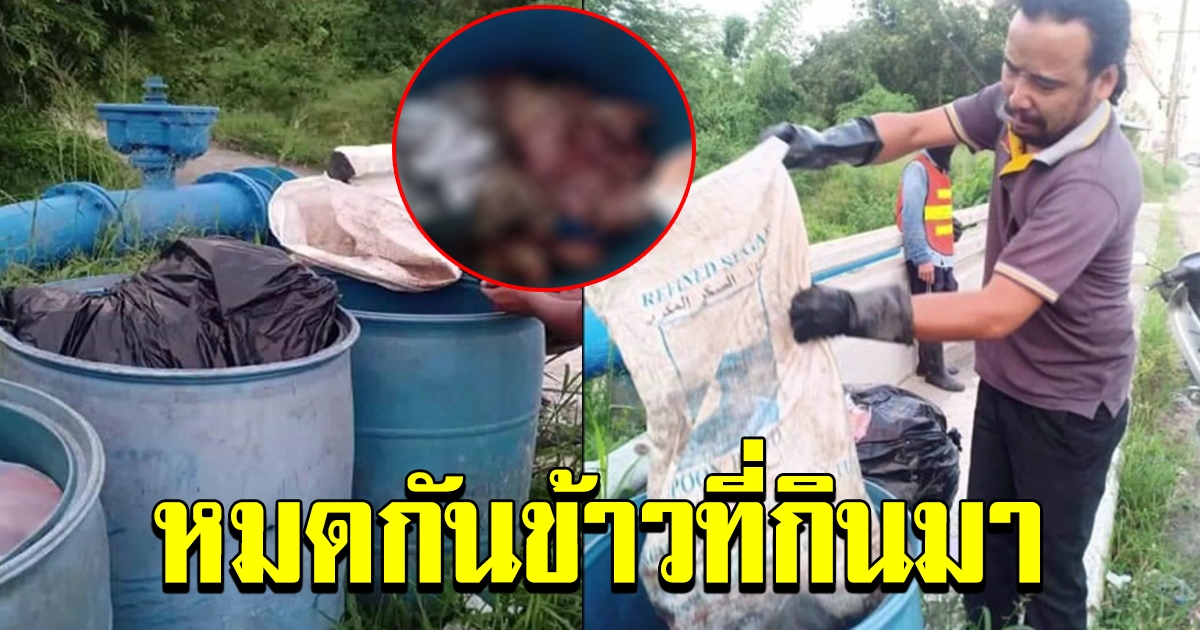 หนุ่มโพสต์ อวสานอาหารเย็น หลังพบกระสอบปริศนา ในถังขยะพอเปิดดู อาหารในท้องแทบพุ่ง