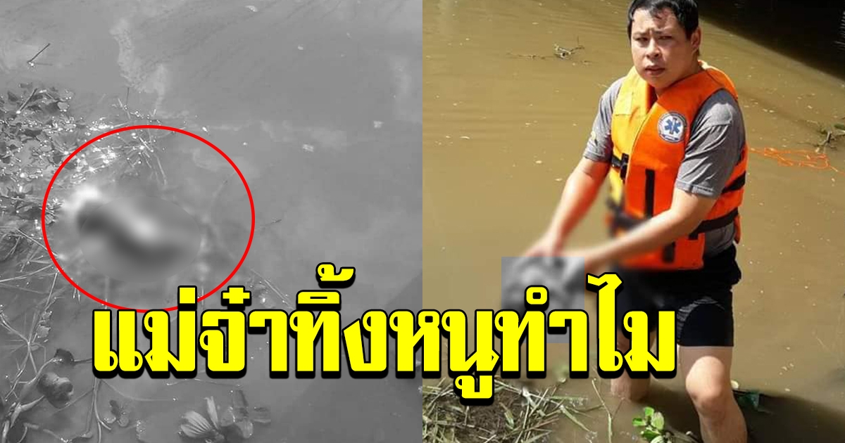 จิตใจทำด้วยอะไร พบศพทารกลอยแม่น้ำปิง