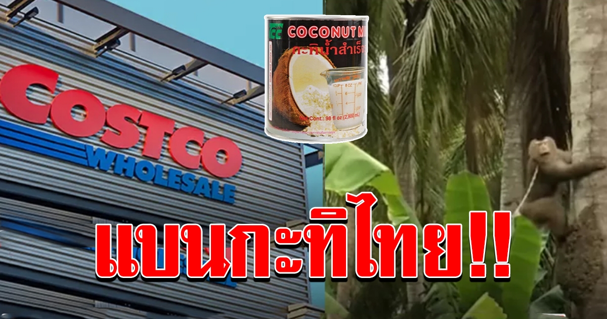 คอสต์โกประกาศเลิกขายกะทิชาวเกาะ