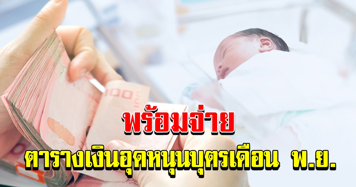 ตาราง เงินอุดหนุนบุตร พร้อมจ่าย เดือน พย