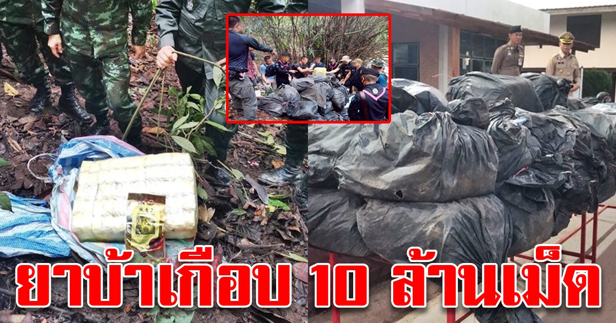 ทบ.สกัดจับยาบ้า ชายแดนเหนือ-อีสานได้เกือบ10ล้านเม็ด