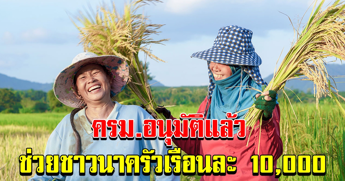 ครม อนุมัติ สนับสนุนพัฒนาคุณภาพข้าว