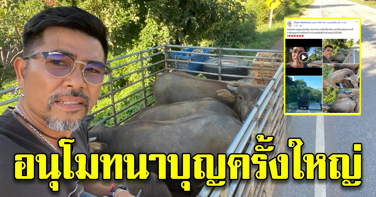 นับถือใจหนุ่มใหญ่ เจอรถกระบะขนควาย 4 ตัวกำลังไปโรงเชือด รีบคิดช่วยไถ่ชีวิตทั้งหมดทันที