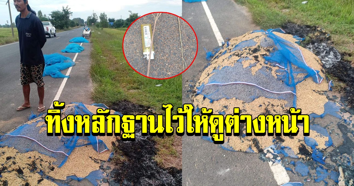 ตากข้าวไว้ข้างถนน ตื่นมาเห็นสภาพ เข่าแทบทรุด
