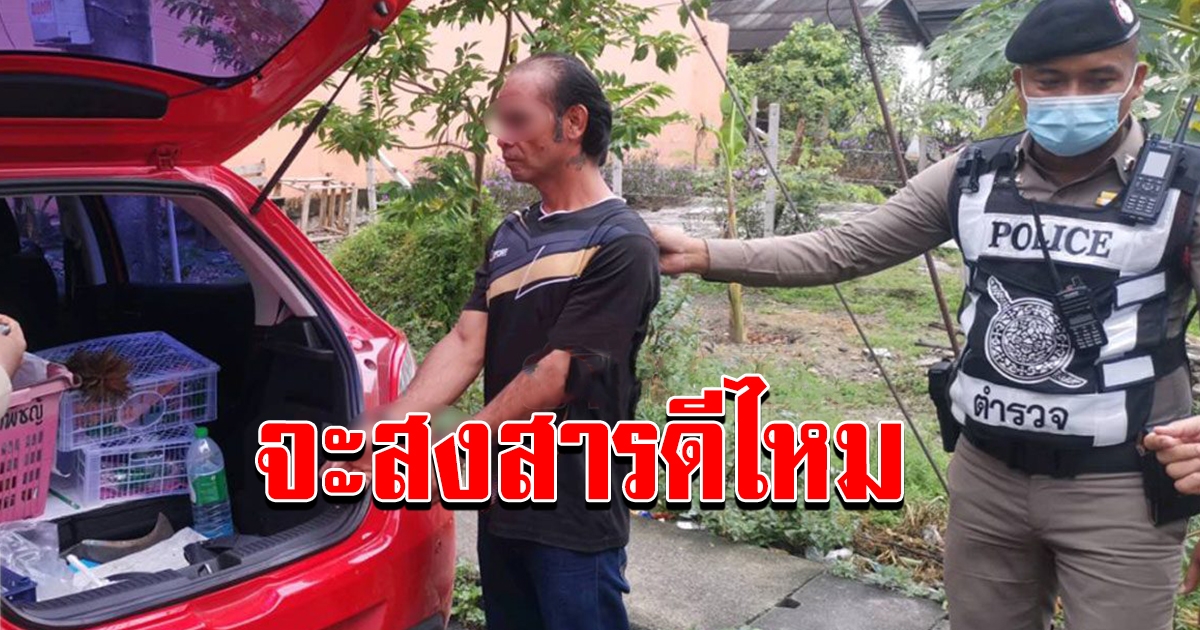 หนุ่มใหญ่ตัดสินใจวิ่งราวแม่ค้า หนีจนหมดแรง ก่อนยอมให้จับ
