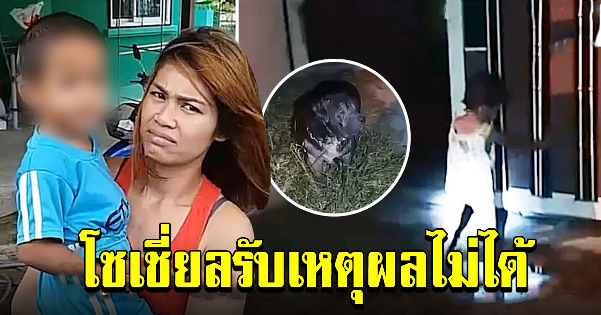 เด็กขวบเศษมายืนกลางถนนตอนตี 3
