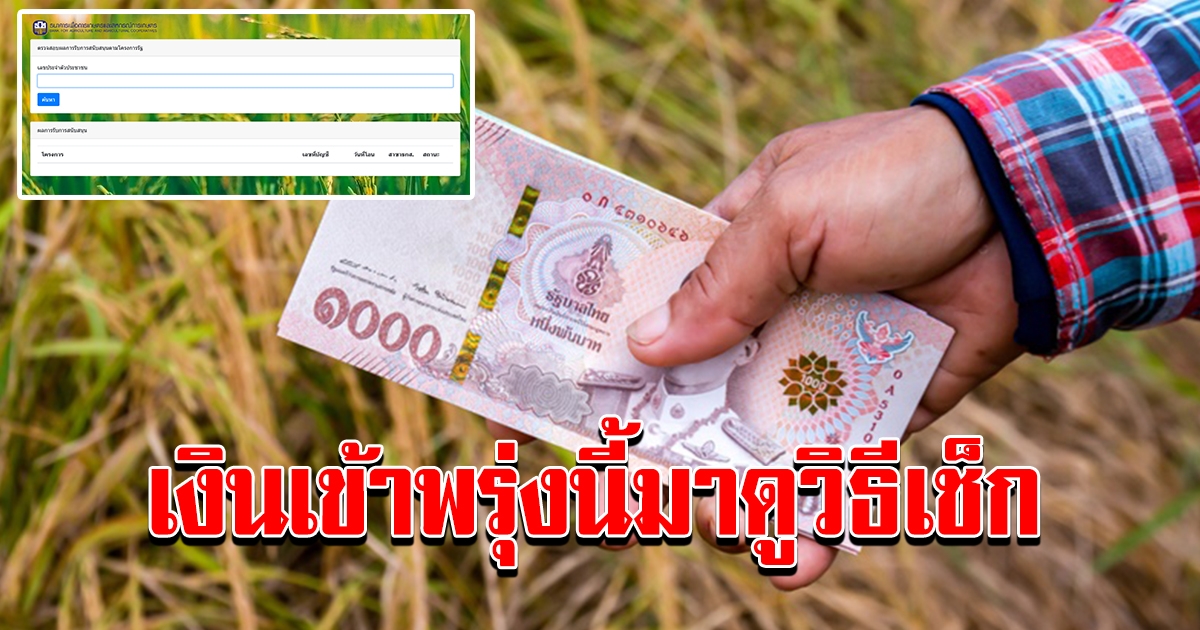 ชาวนาดูด่วน เงินชดเชยประกันรายได้เกษตรกร วิธีเช็กเงินง่าย ๆ ก่อนไปถอนเงิน
