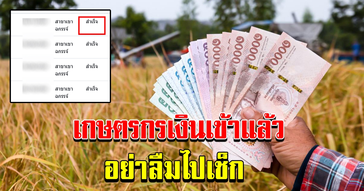 เงินชดเชยประกันรายได้เกษตรกร 10000 เข้าแล้ว อย่าลืมไปเช็ก
