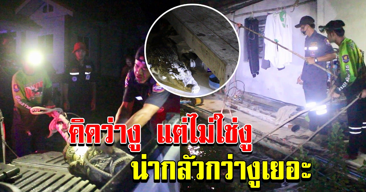 คุณลุงอายุ 52 ปี ตื่นเข้าห้องน้ำตอนตีสาม จู่ๆ ได้ยินเสียงขู่ดังขึ้นเรื่อย ๆ ชะโงกไปดู เจอเต็มๆ