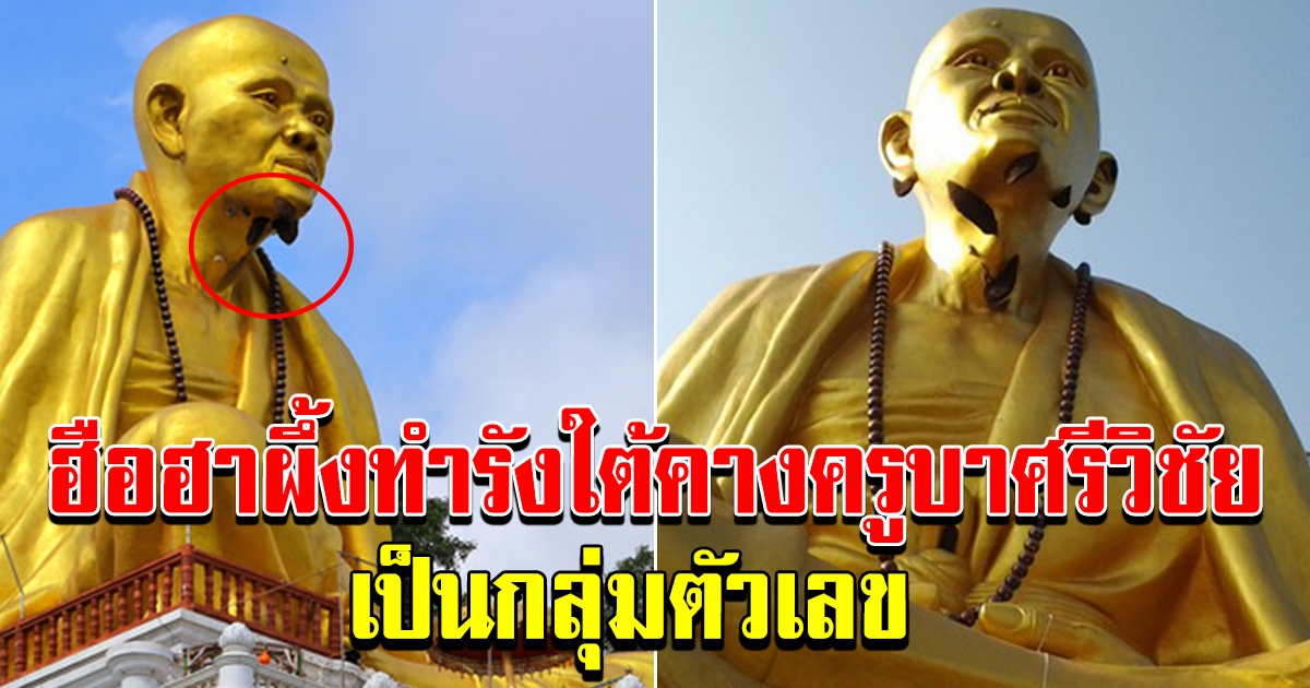 ฮือฮา ผึ้งทำรังใต้คางครูบาศรีวิชัย