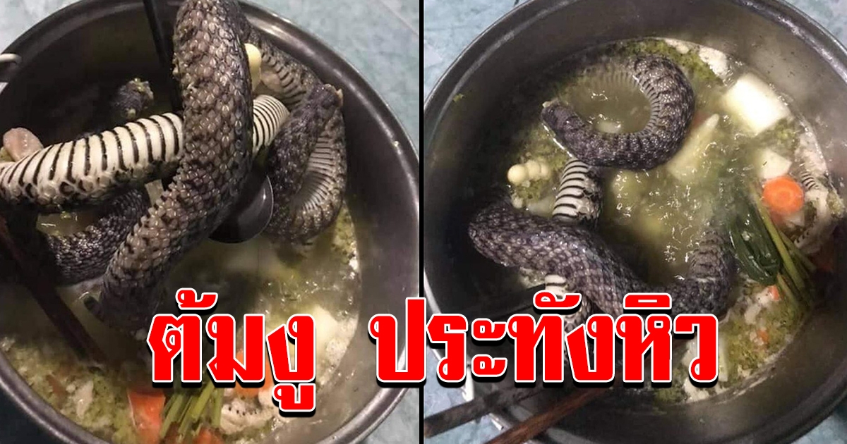 นักศึกษา จับ งู มาต้มกิน แทนมาม่า ประทังความหิวก่อนสิ้นเดือน