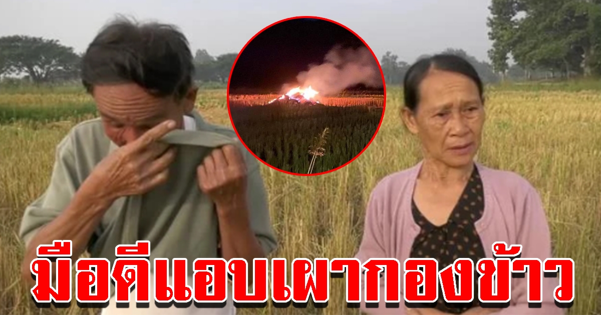 ตายายร่ำไห้ ถูกมือดีแอบเผากองข้าววอด 2 ตัน ยันไม่เคยบาดหมางใคร
