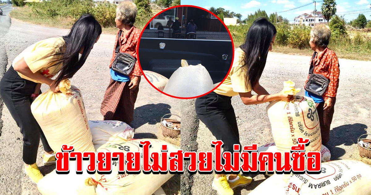 สาวเห็นหญิงสูงอายุ ขนข้าวเปลือกไปขาย