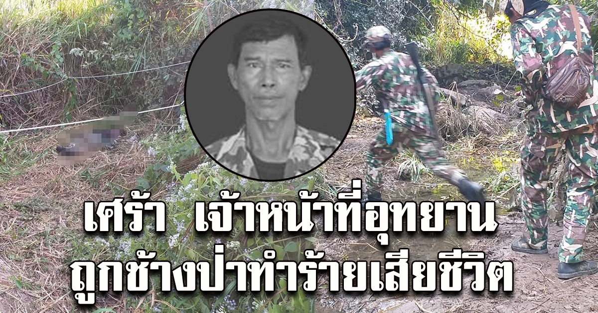 เศร้า เจ้าหน้าที่อุทยานถูกช้างป่าทำร้ายเสียชีวิต ขณะลงพื้นที่ติดตามรักษาช้างป่าบาดเจ็บ