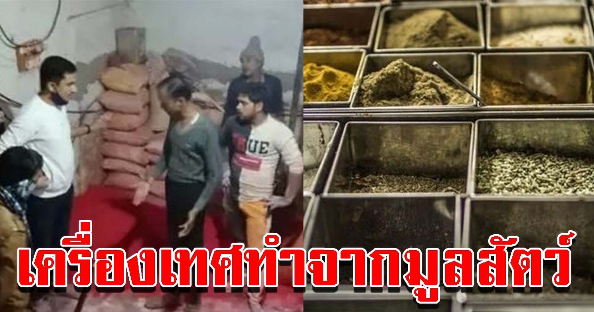 บุกทลายโรงงานขายเครื่องเทศปลอม อึ้งทำจากมูลสัตว์และกรด