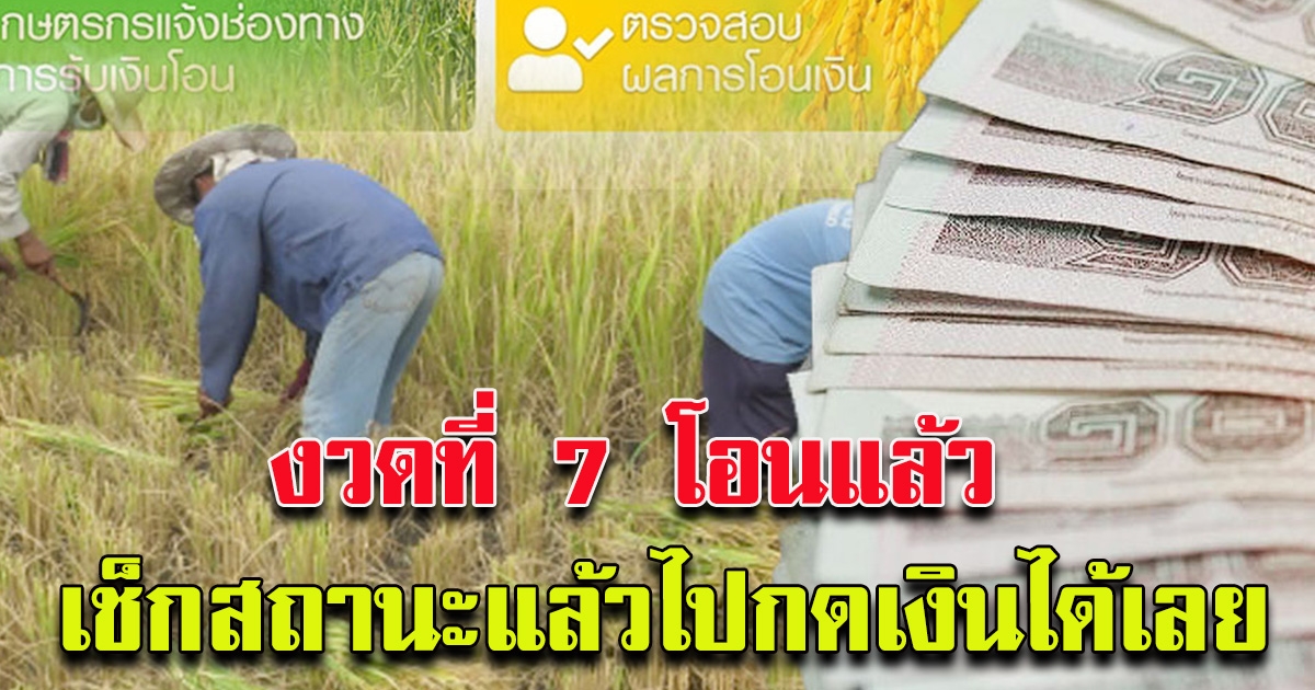 โอนแล้ว เช็คสถานะการโอนประกันรายได้เกษตรกรผู้ปลูกข้าวได้เลย