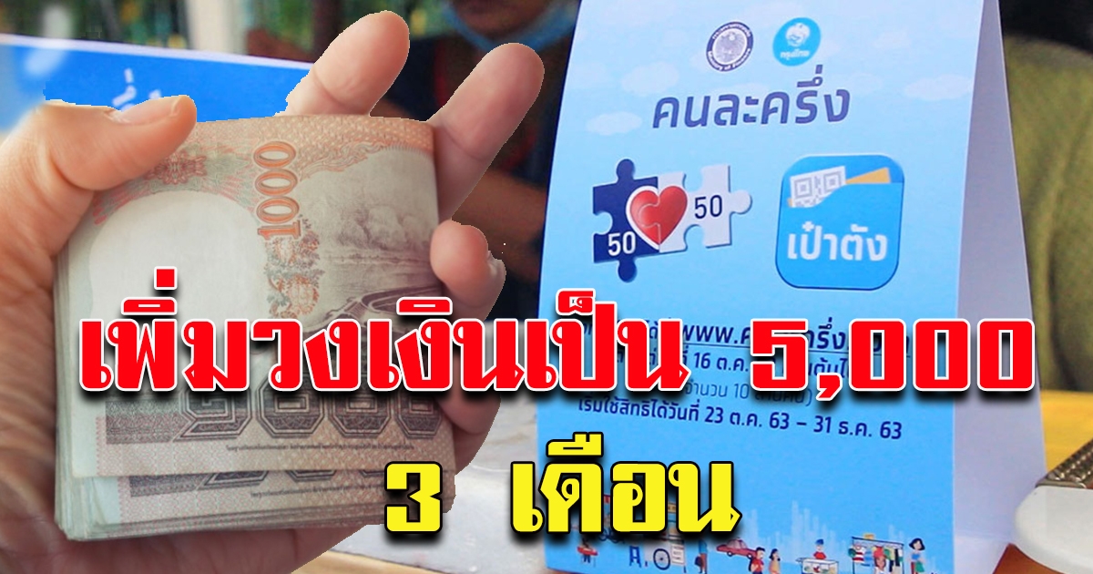 ภาคเอกชน เสนอรัฐบาลให้เพิ่มวงเงินให้ คนละครึ่ง