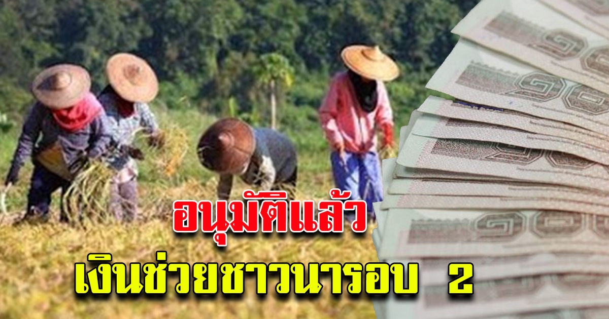 ครม.อนุมัติแล้ว เงินช่วยเหลือชาวนา ไร่ละ 500 รอบ 2