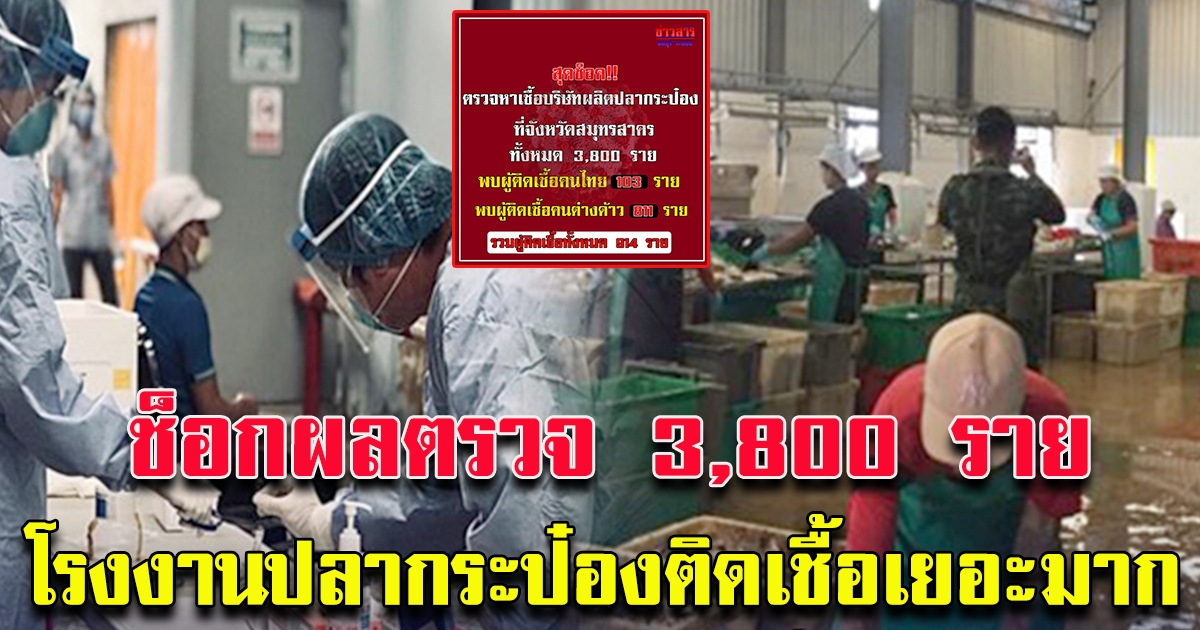 สุดช็อก ตรวจหาเชื้อ บริษัทปลากระป๋อง ทั้งหมด 3800 รายผลออกแล้ว