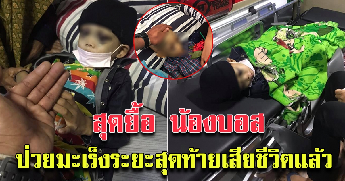 สุดยื้อ น้องบอส วัย 5 ขวบ ป่วยเป็นมะเร็งระยะสุดท้าย ล่าสุดน้องเสียชีวิตแล้ว