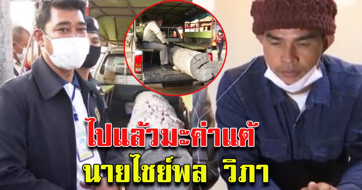 เจ้าหน้าที่กรมป่าไม้ นำไม้ ออกจากบ้าน นายไชย์พล