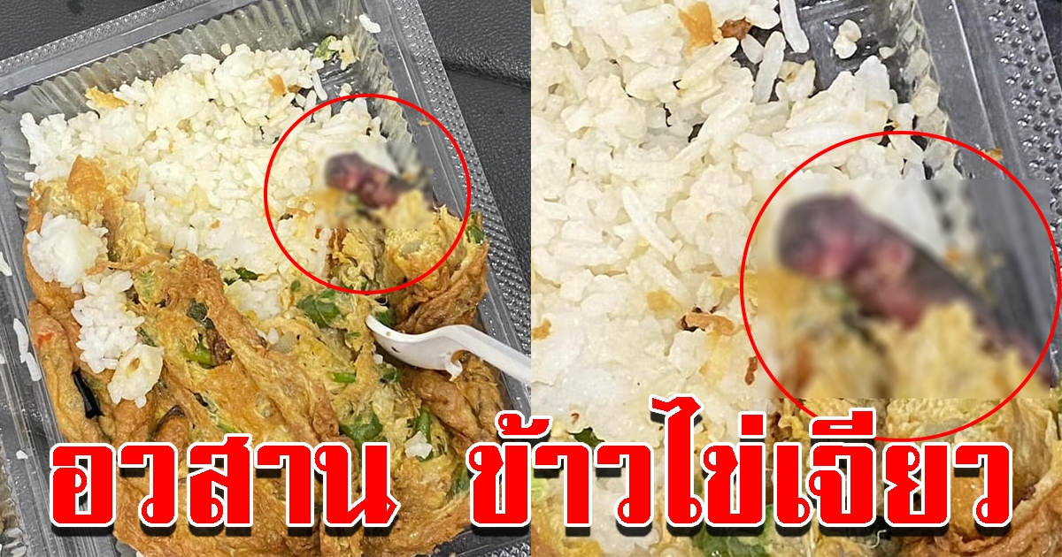 สาวสุดช็อก สั่งข้าวไข่เจียว กินไปเกือบครึ่งกล่อง สุดท้ายอ้วกแทบพุ่ง