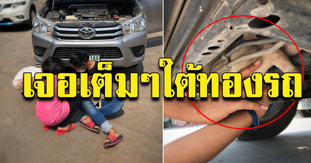 สาวขับรถ ได้ยินเสียงแปลกๆตลอดทาง